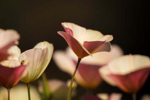 IMG 0269