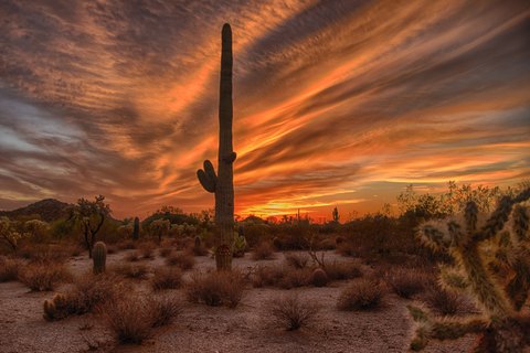 IMG 0462 HDR