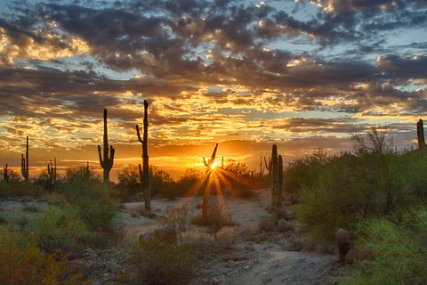 Around Arizona
