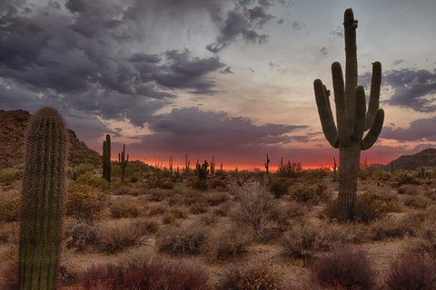 IMG 7440 HDR