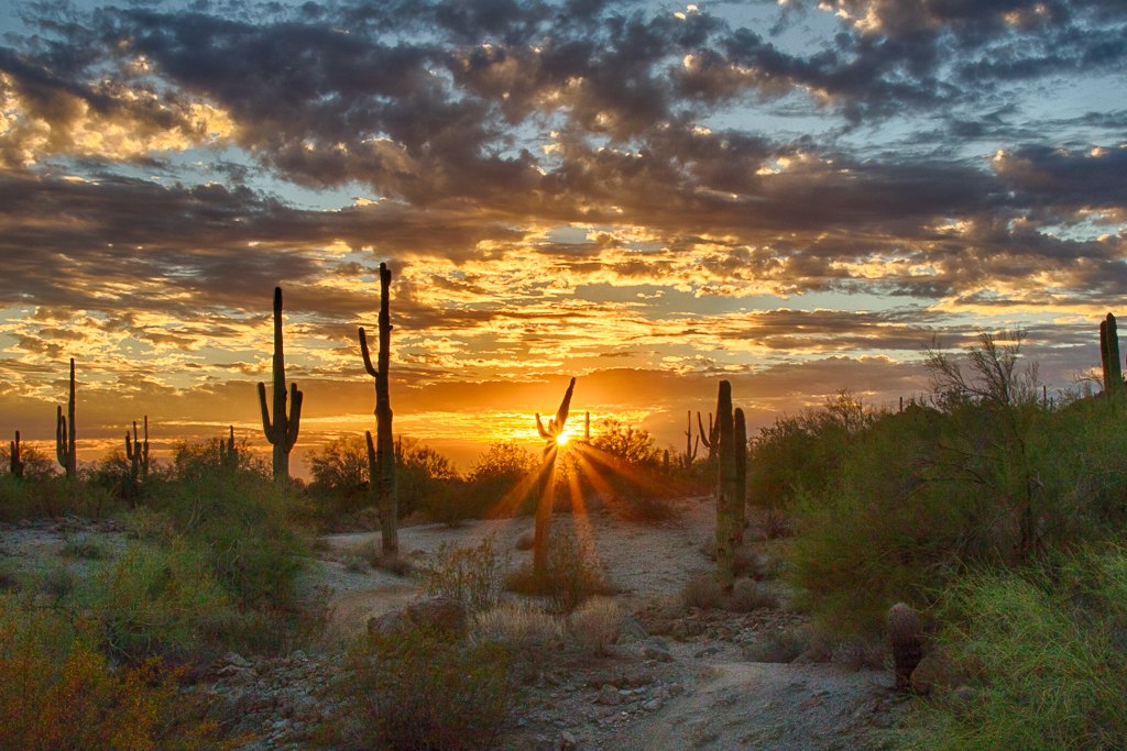 Around Arizona
