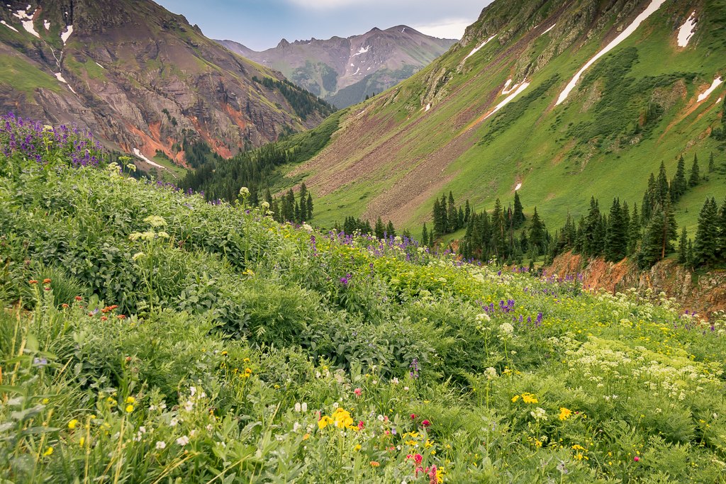Colorado