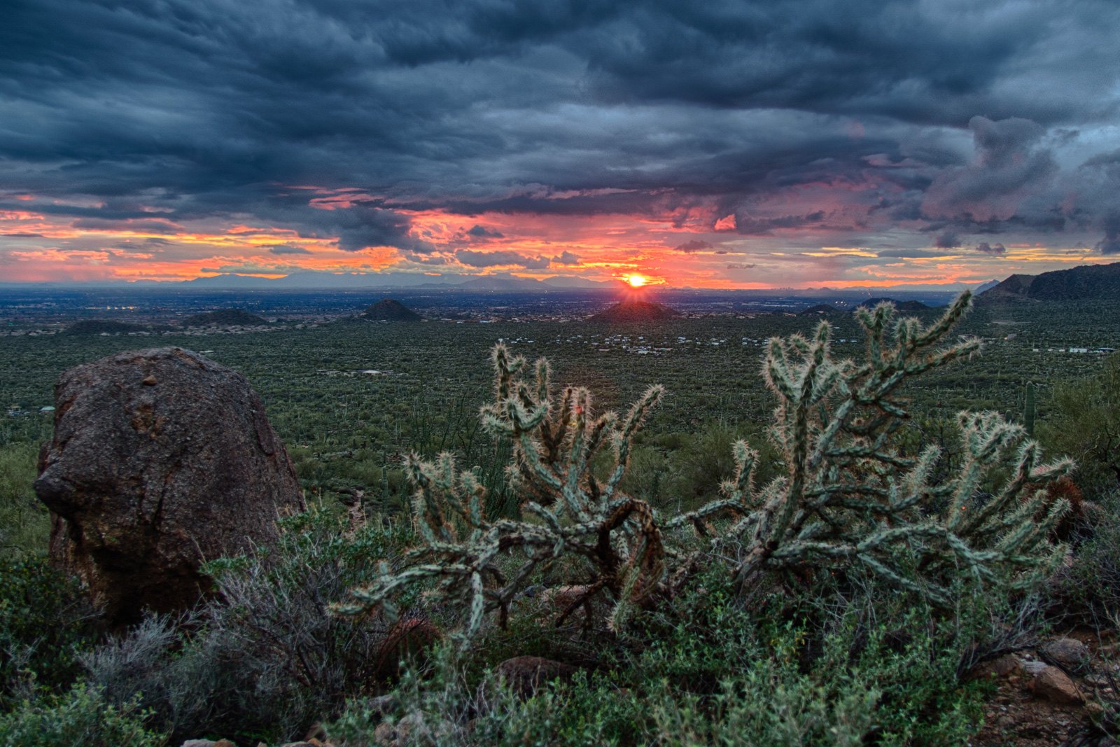 Sonoran Desert landscape